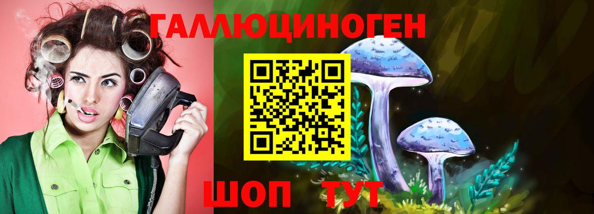 купить закладку  Псилоцибиновые грибы Psilocybe  Вход с VPN  Гагарин 
